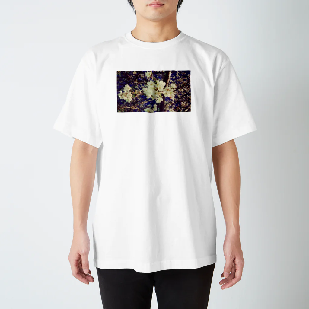 barabara_のsakura_2 スタンダードTシャツ