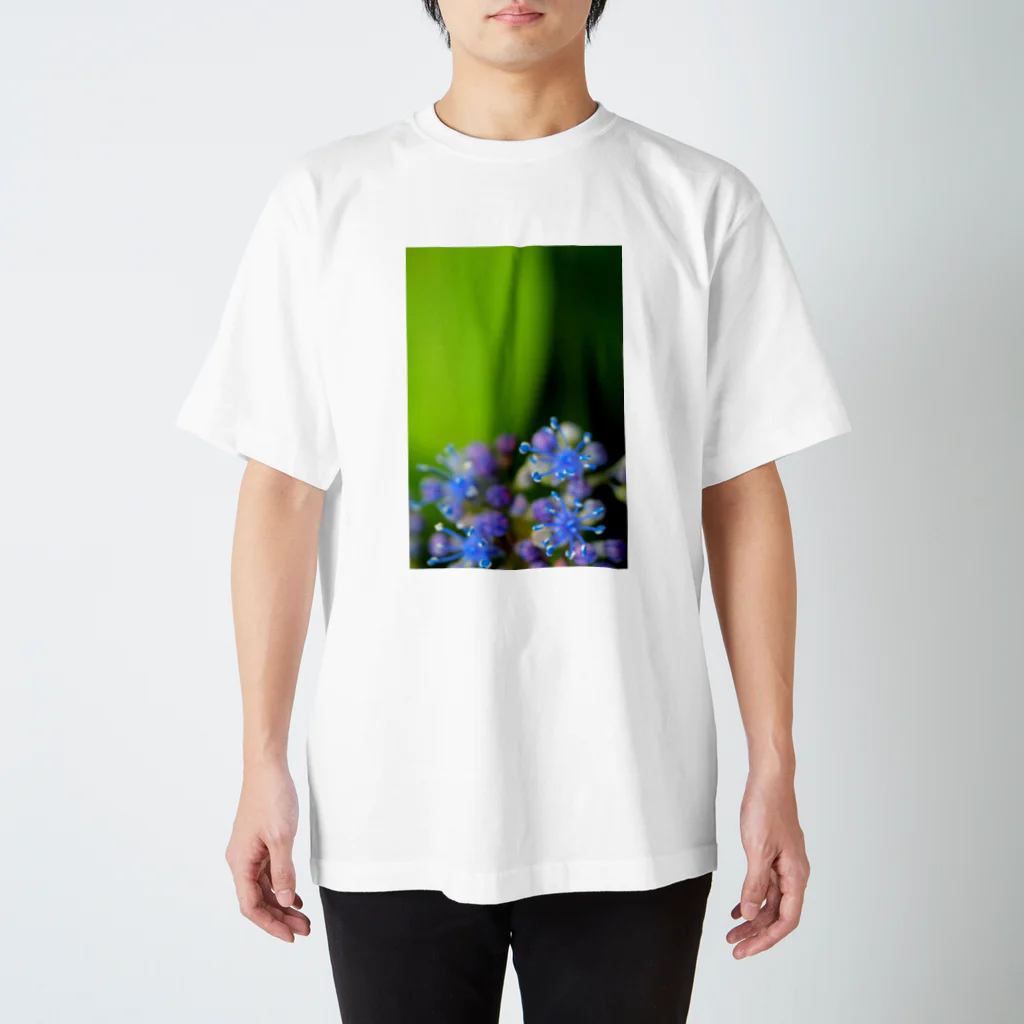 kaimoiのaji-sai Regular Fit T-Shirt