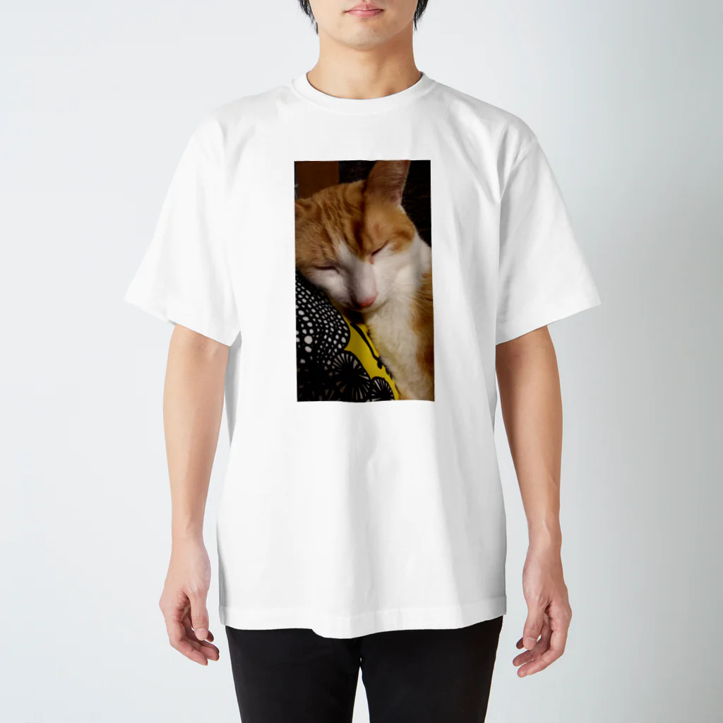 ocheycheyのうちの猫 スタンダードTシャツ