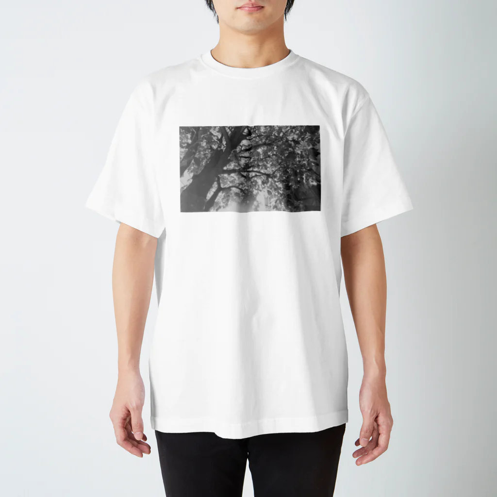 むーちゃんです。の木漏れ日の下で Regular Fit T-Shirt