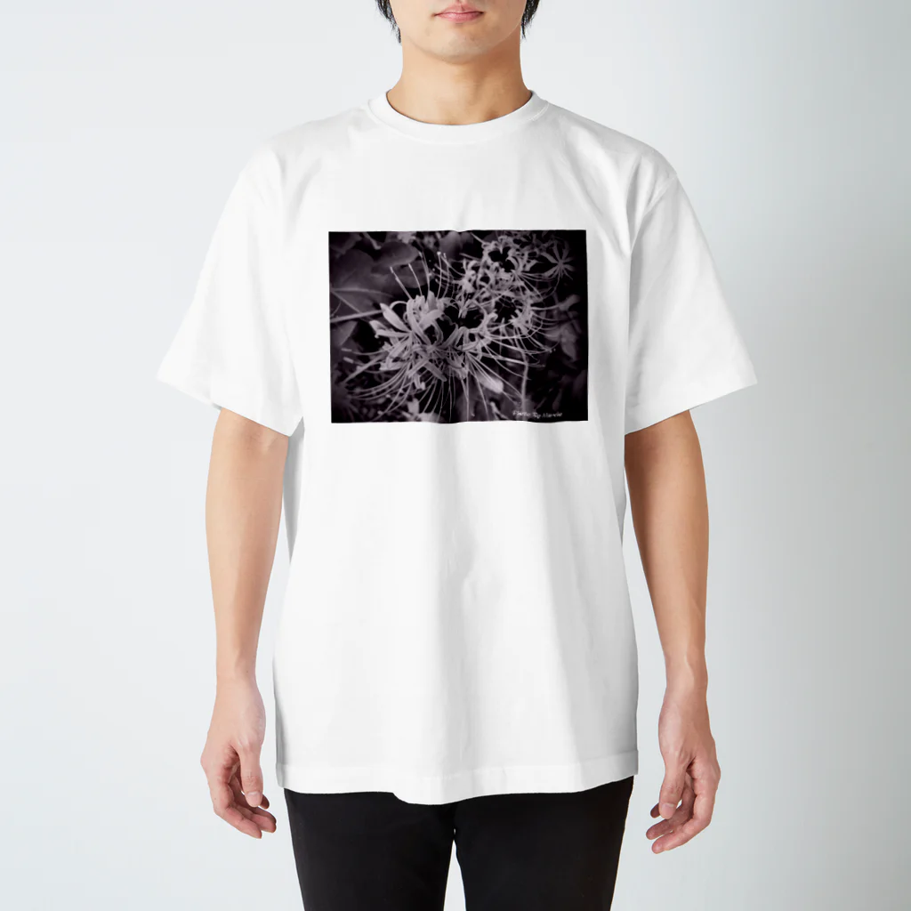 ニジノイロのヒガンバナ Regular Fit T-Shirt