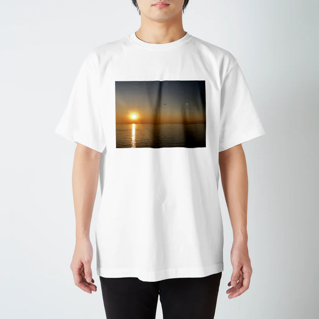 甲羅干しの夕陽の海 スタンダードTシャツ