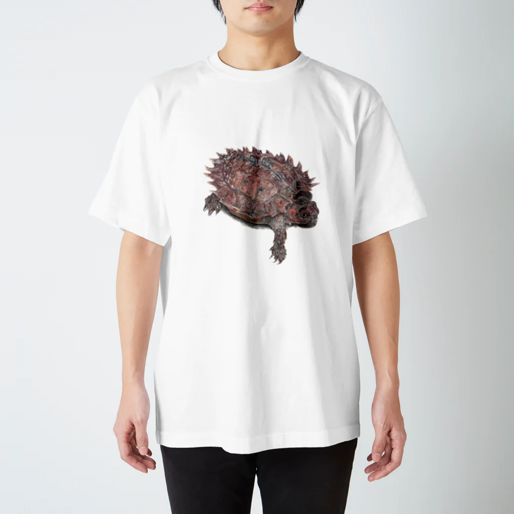 Kanon Tanakaのトゲヤマガメ Heosemys spinosa スタンダードTシャツ