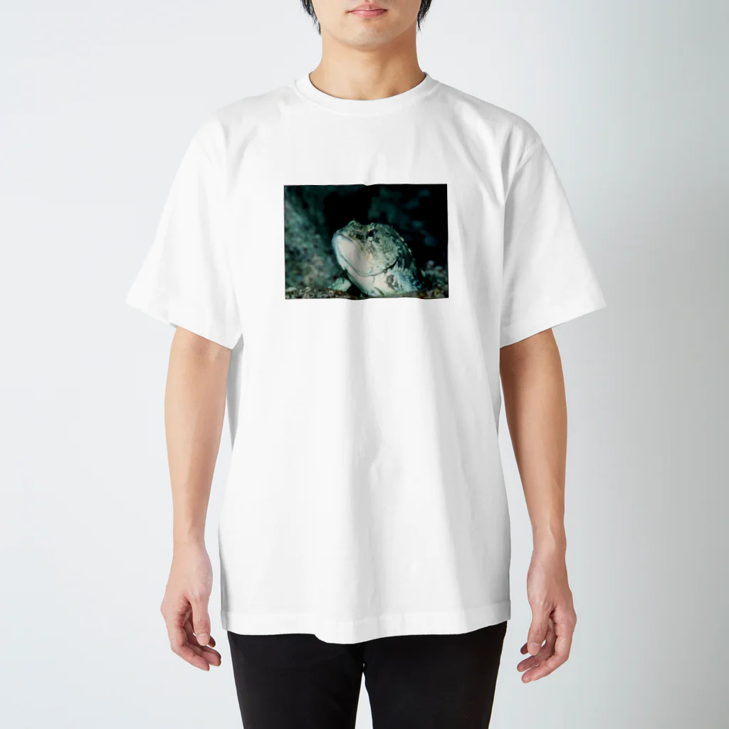 龍舞堂の魚 Regular Fit T-Shirt