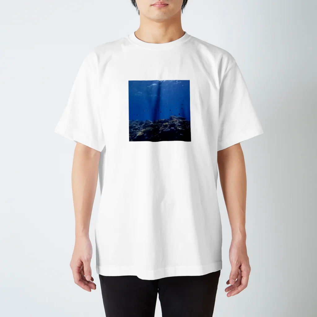 A_Uの別世界１ 西表島 スタンダードTシャツ