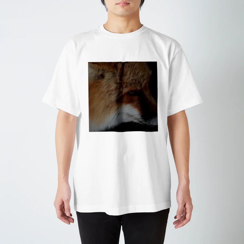 Ngorongoro＊Pixelの狐の眼差し(α スタンダードTシャツ