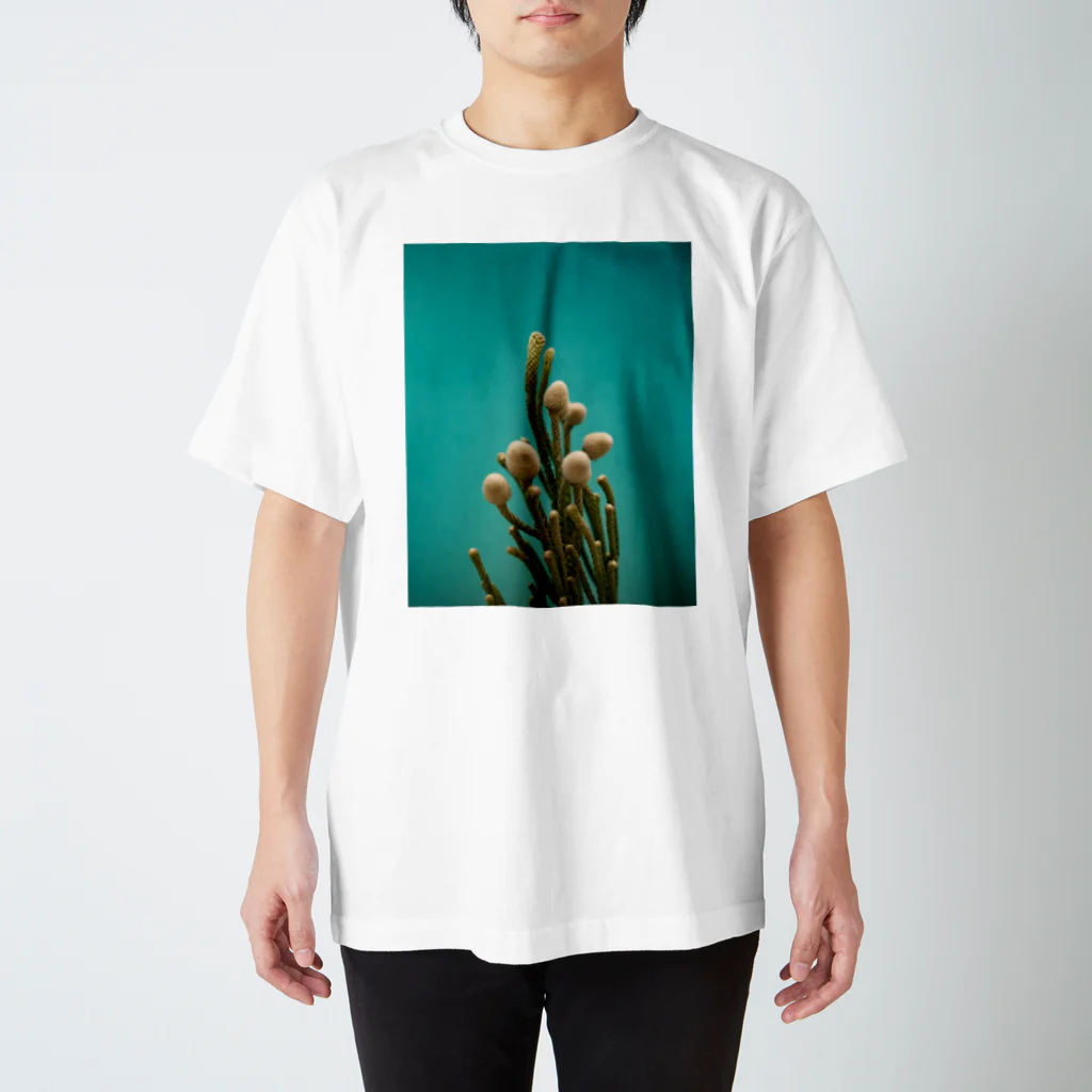 illairheadの腐海に生えている植物 スタンダードTシャツ