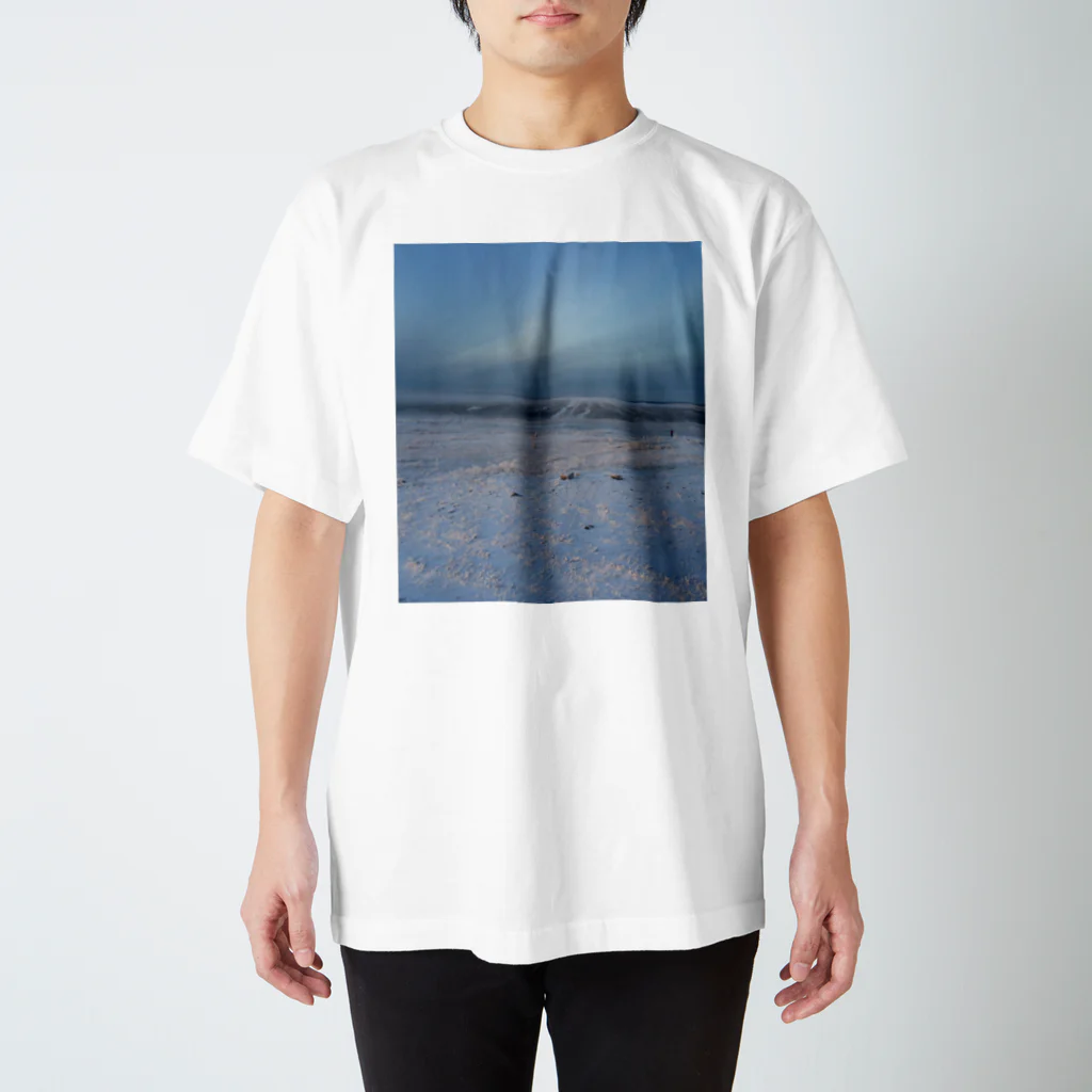 Orchestra:Suzuri支店の世界の風景:Arctic3 Regular Fit T-Shirt