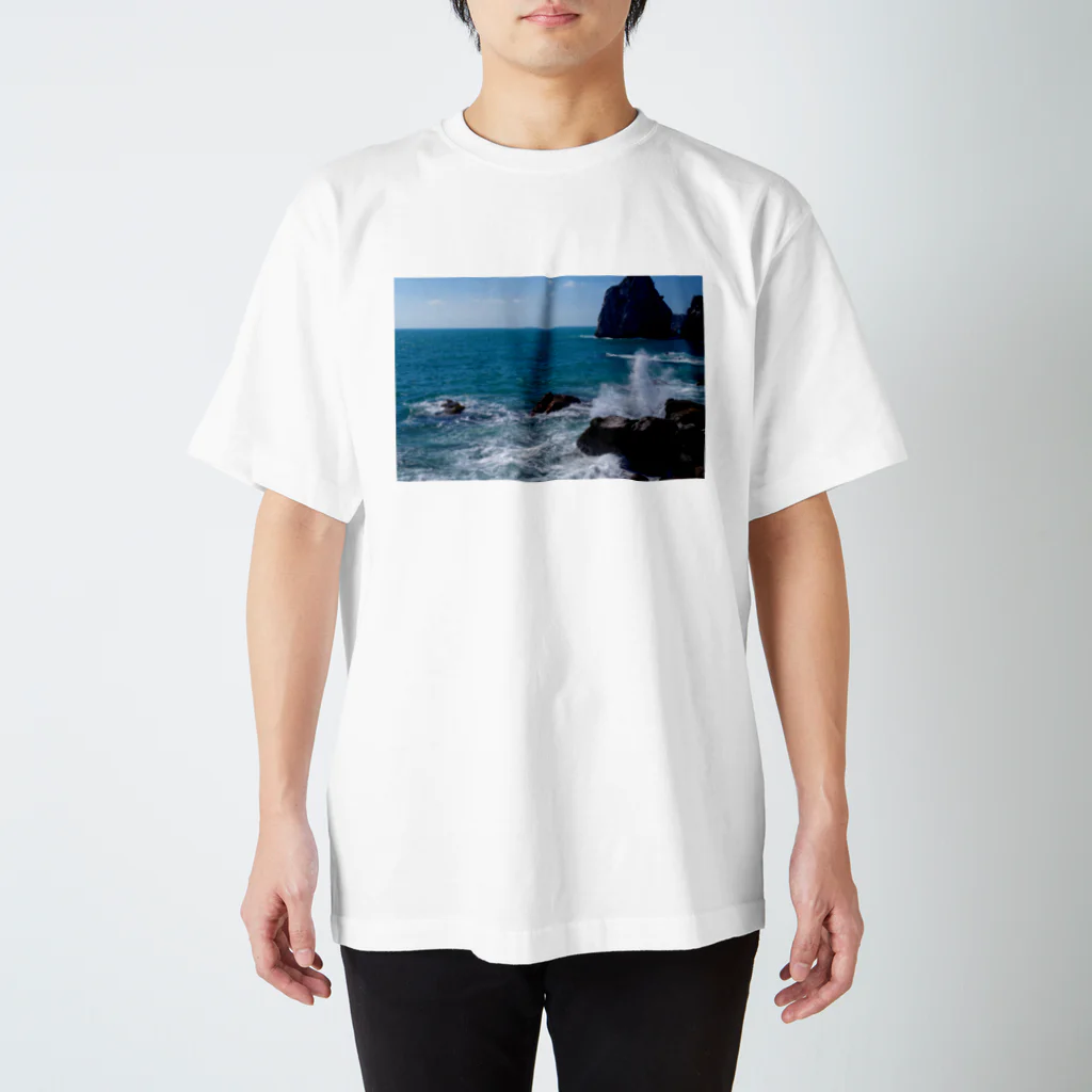 883Rの海、波、自然、波 Regular Fit T-Shirt