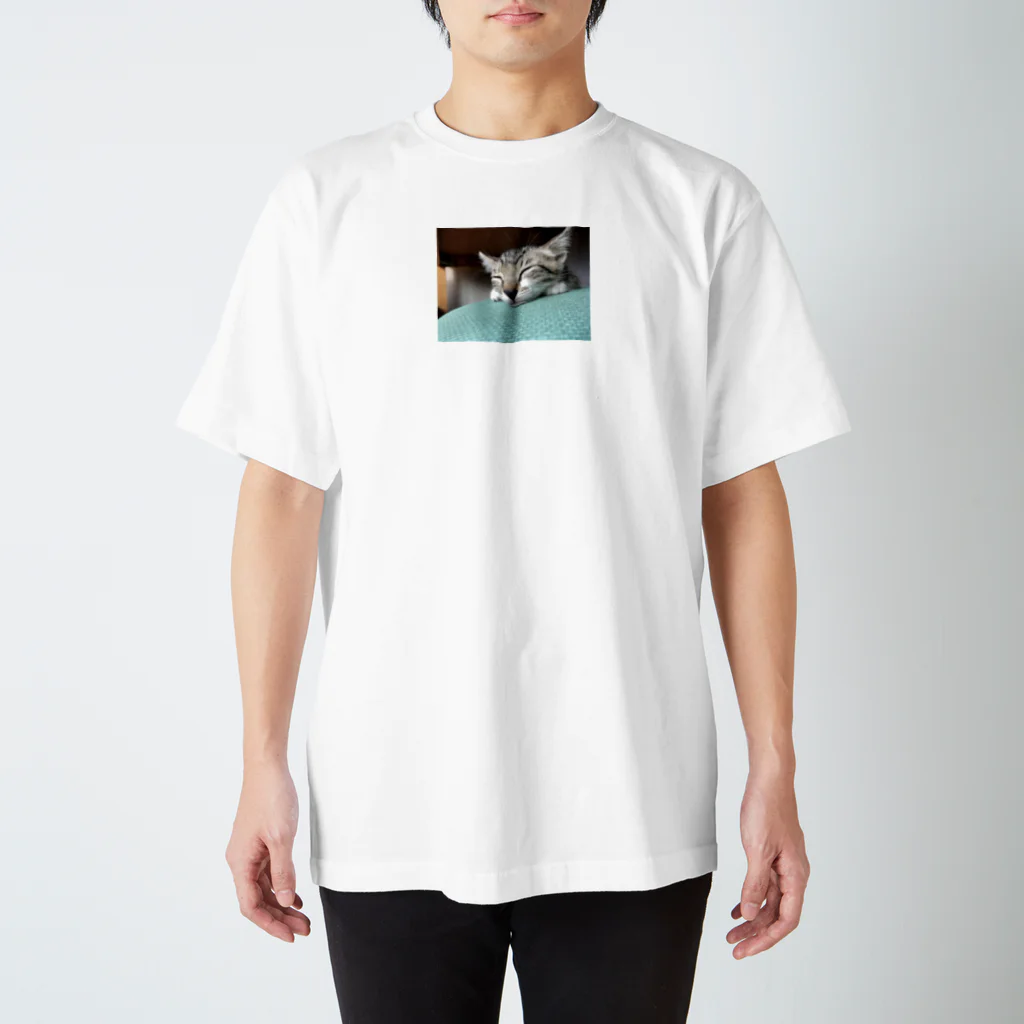 ほのぼのライフの子猫のちび Regular Fit T-Shirt