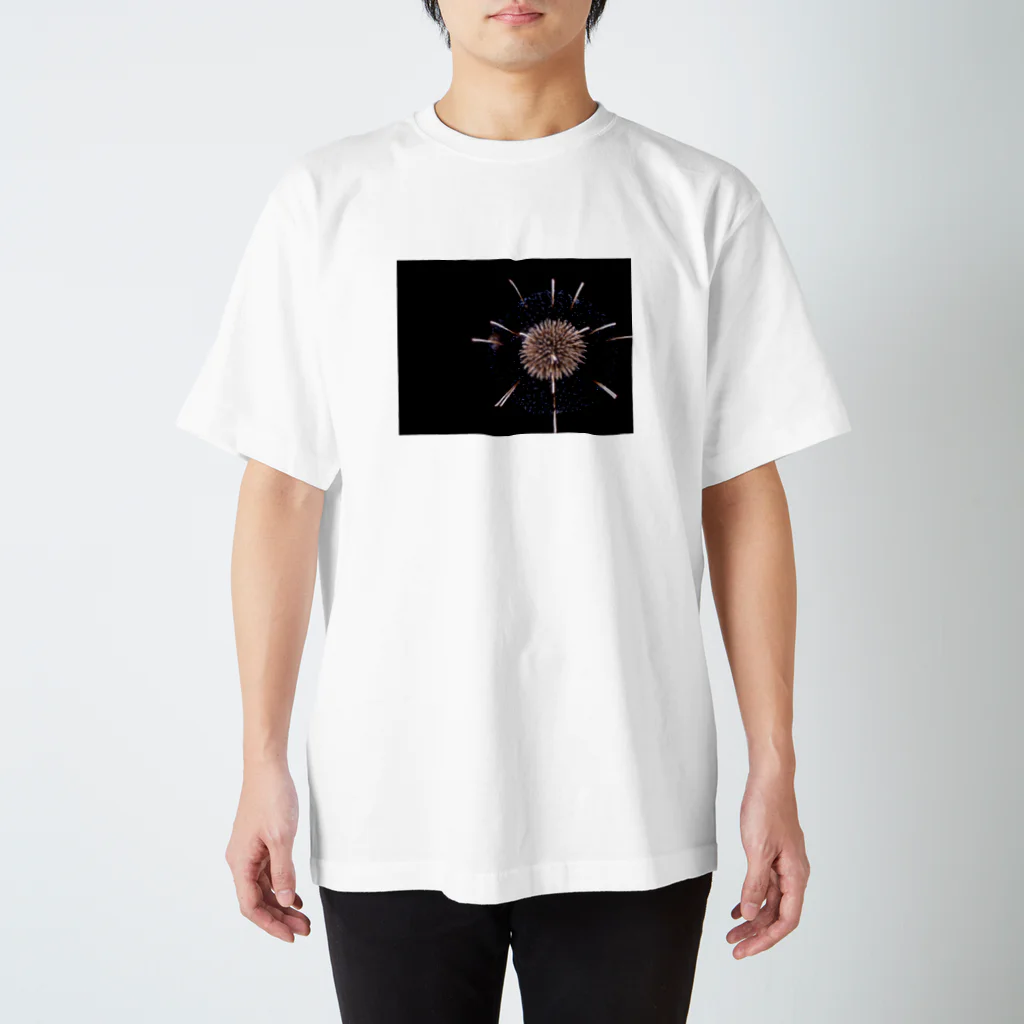 さいとぅーすの花火 Regular Fit T-Shirt