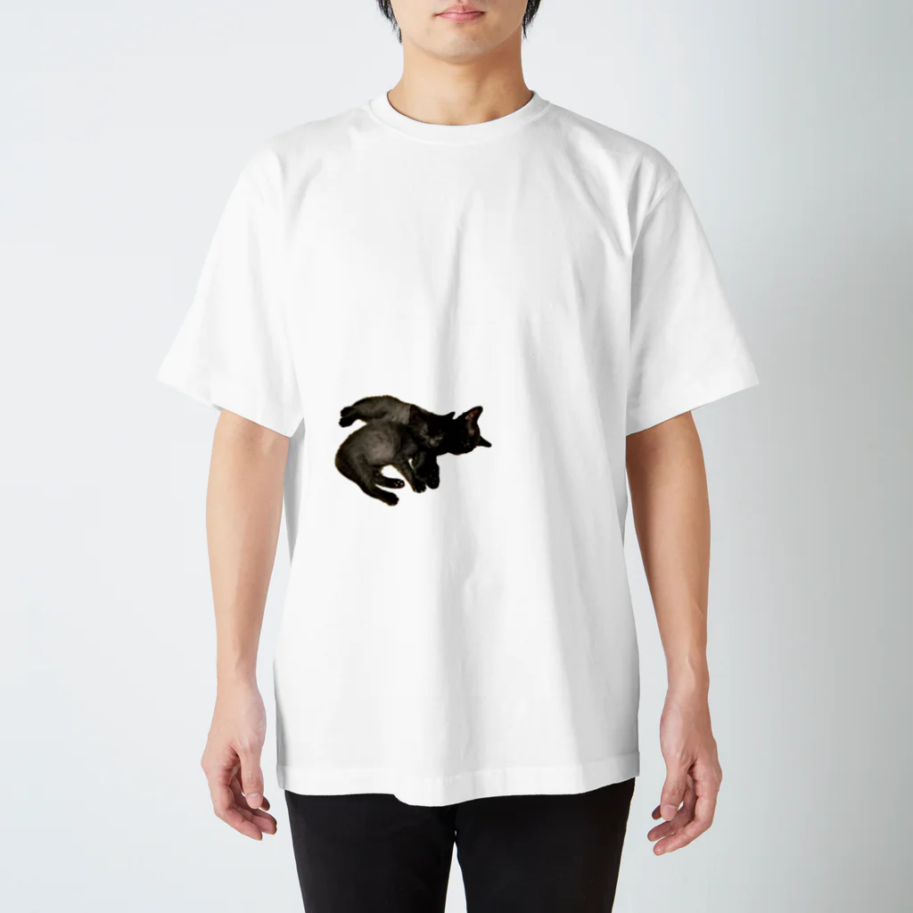 ZINZINの抱っ仔猫 スタンダードTシャツ