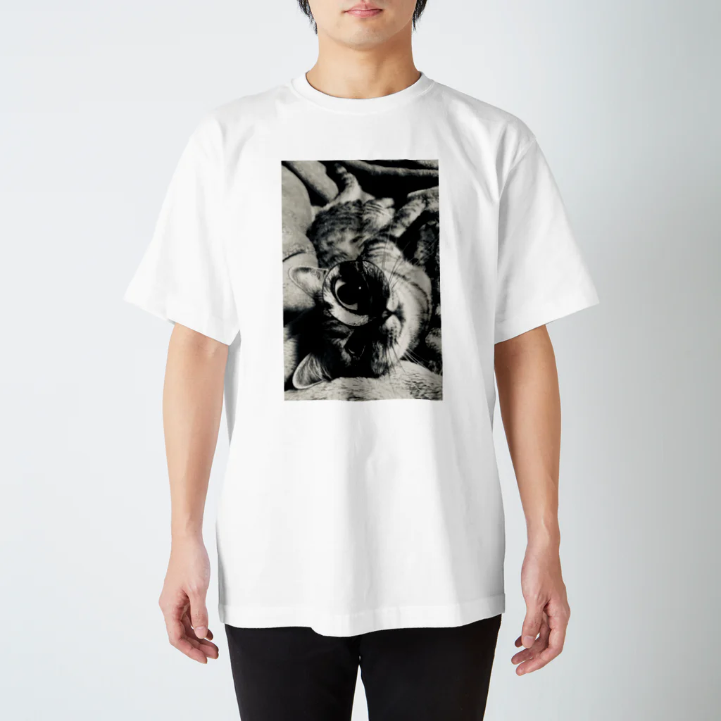 ほのぼのライフの探偵猫の休日 Regular Fit T-Shirt