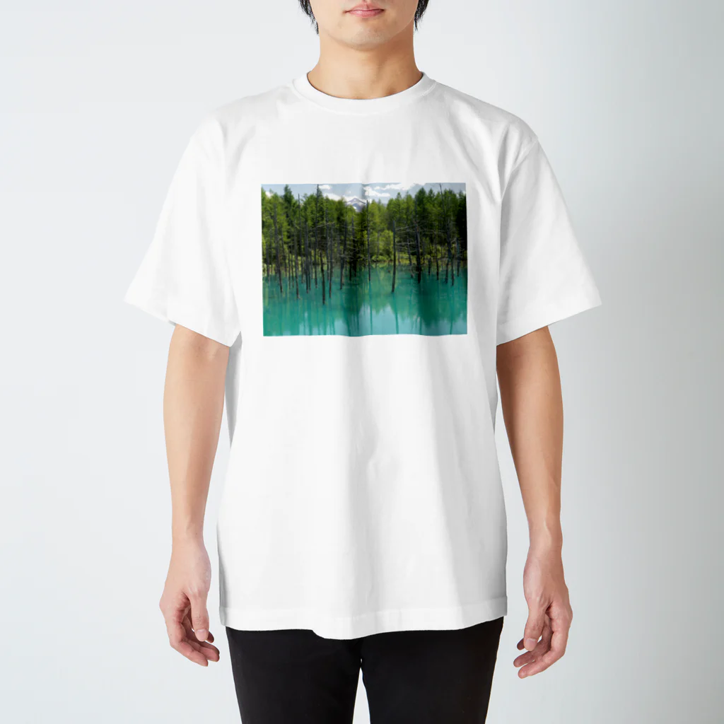 Scene_Sniperの青い池001 スタンダードTシャツ