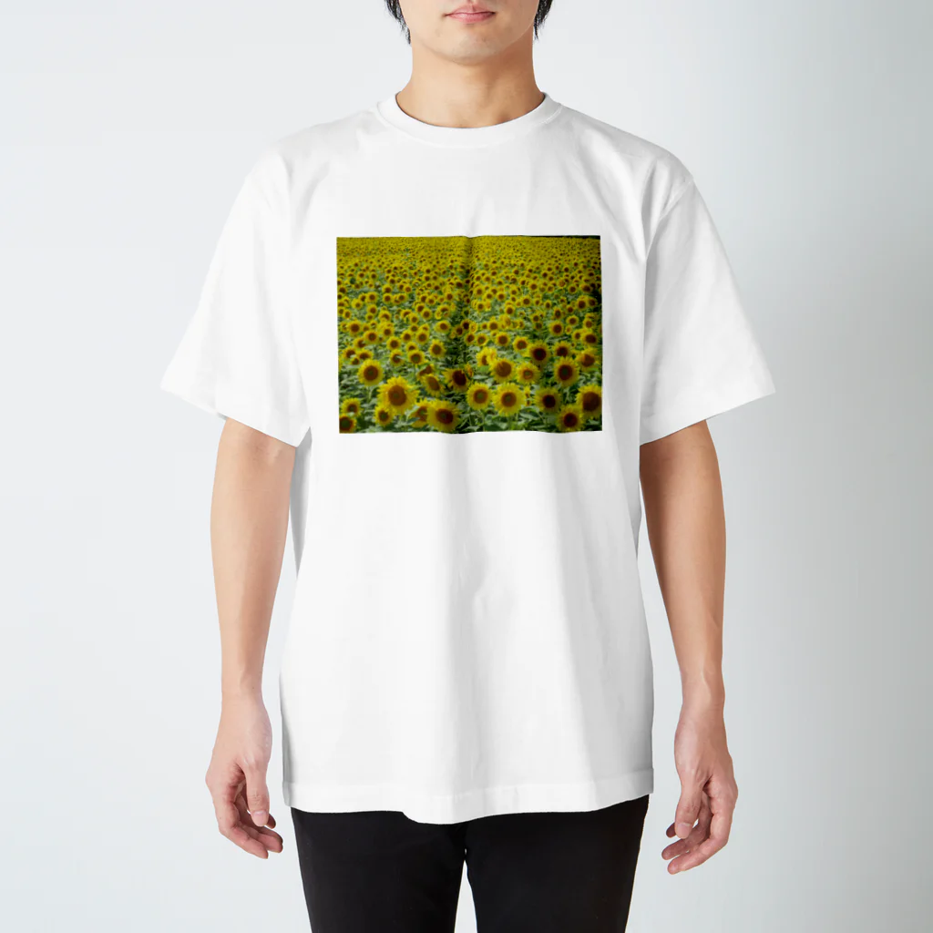 Scene_Sniperのひまわり01 スタンダードTシャツ