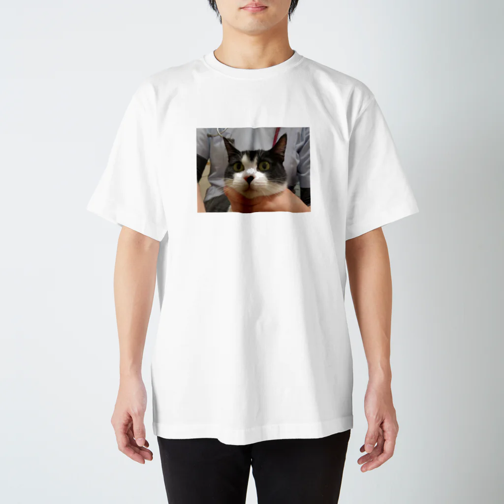 猫好きのはちわれ猫 Regular Fit T-Shirt