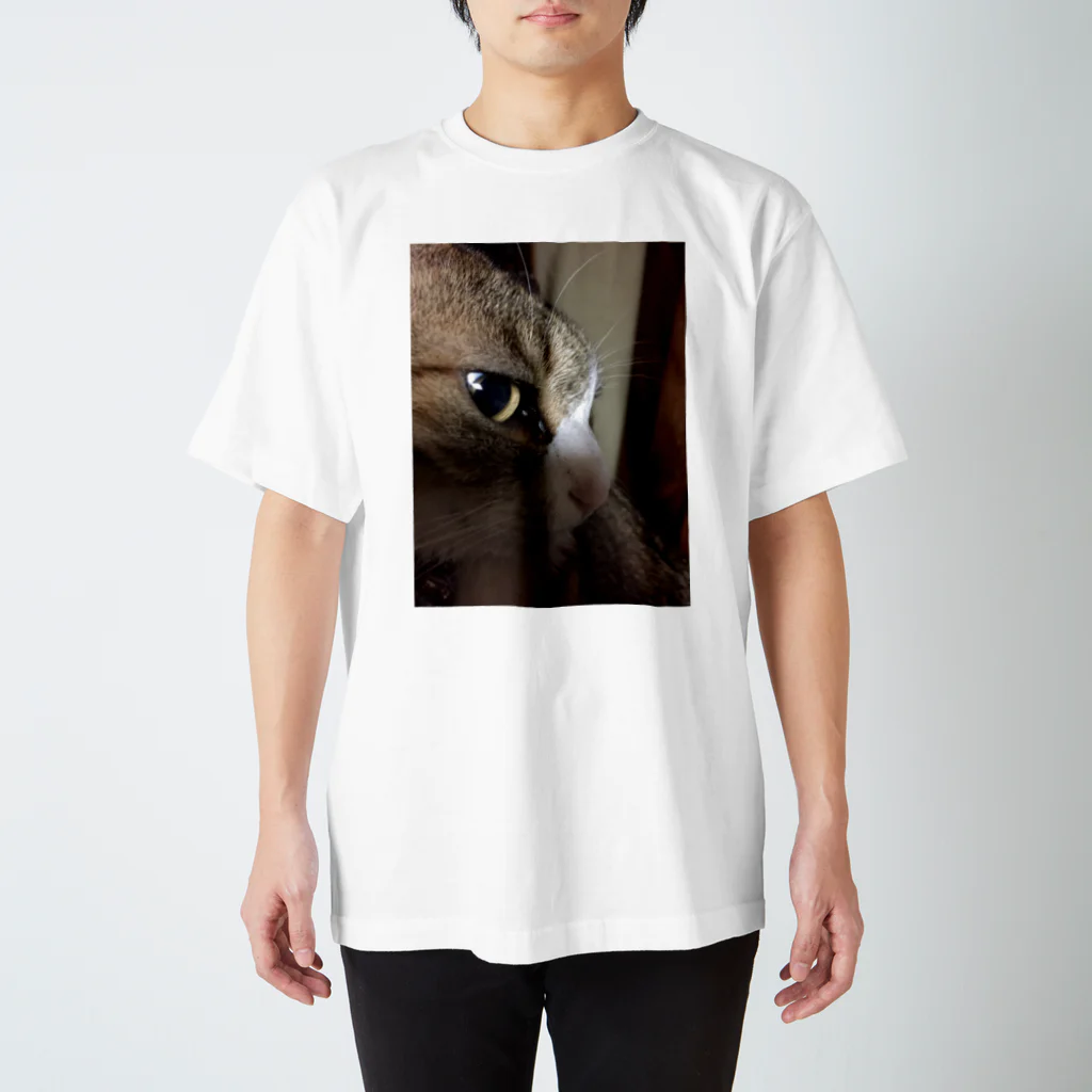 625626のねずみじゃないよ。猫だよ。 スタンダードTシャツ