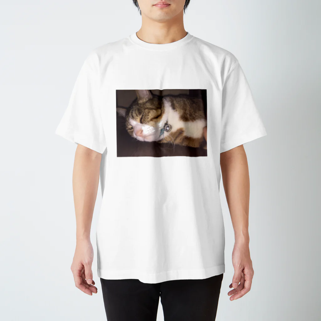 625626のぶさいく猫 Regular Fit T-Shirt