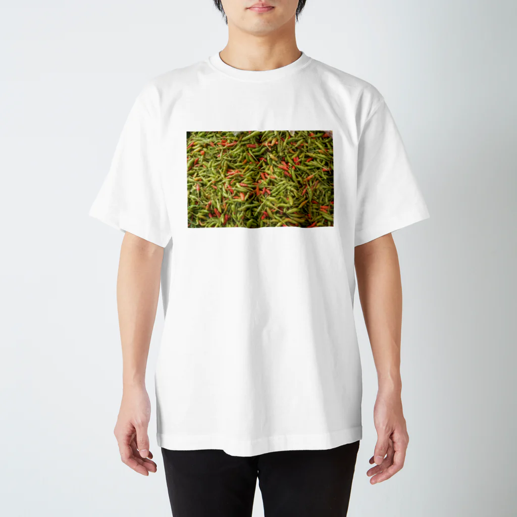 Scene_Sniperのスパイス001 スタンダードTシャツ