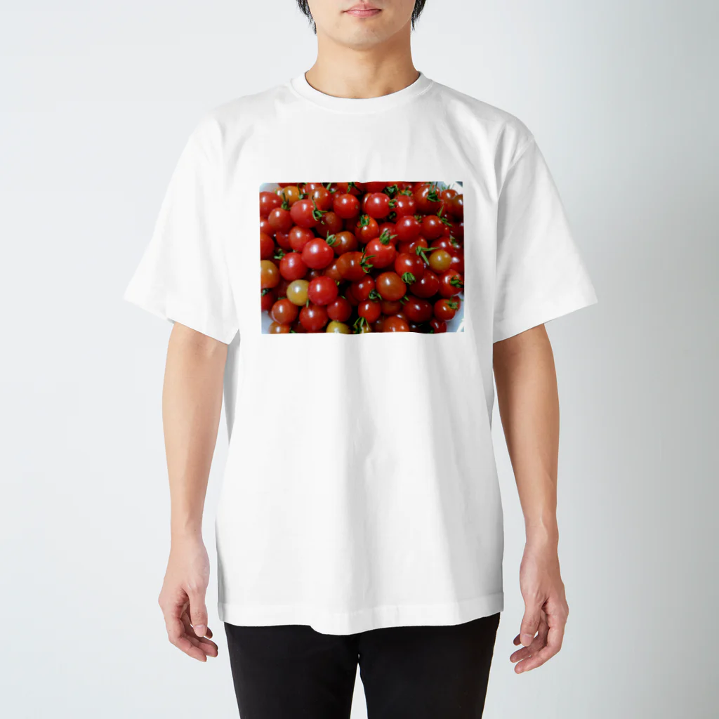 あすなろのトマトだらけ Regular Fit T-Shirt