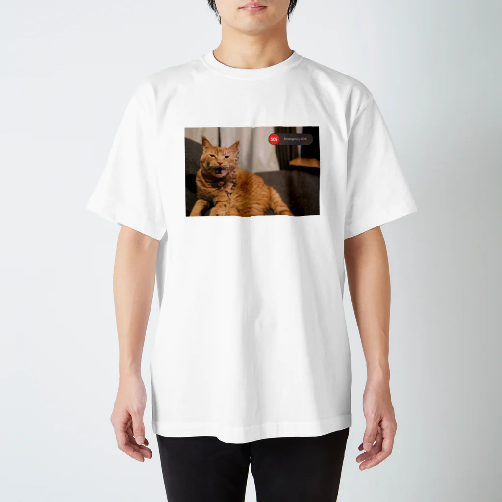 オラのネッコを見てくれのemergency cat スタンダードTシャツ