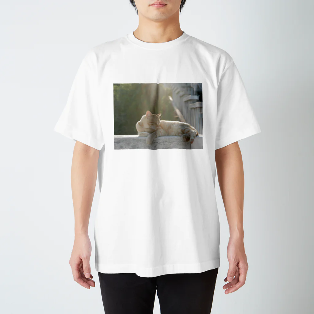 dead stock soupの光を浴びる猫 Regular Fit T-Shirt