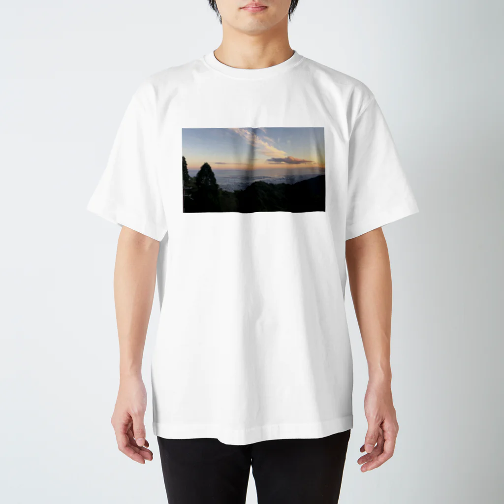 わびしさのよい景色 スタンダードTシャツ