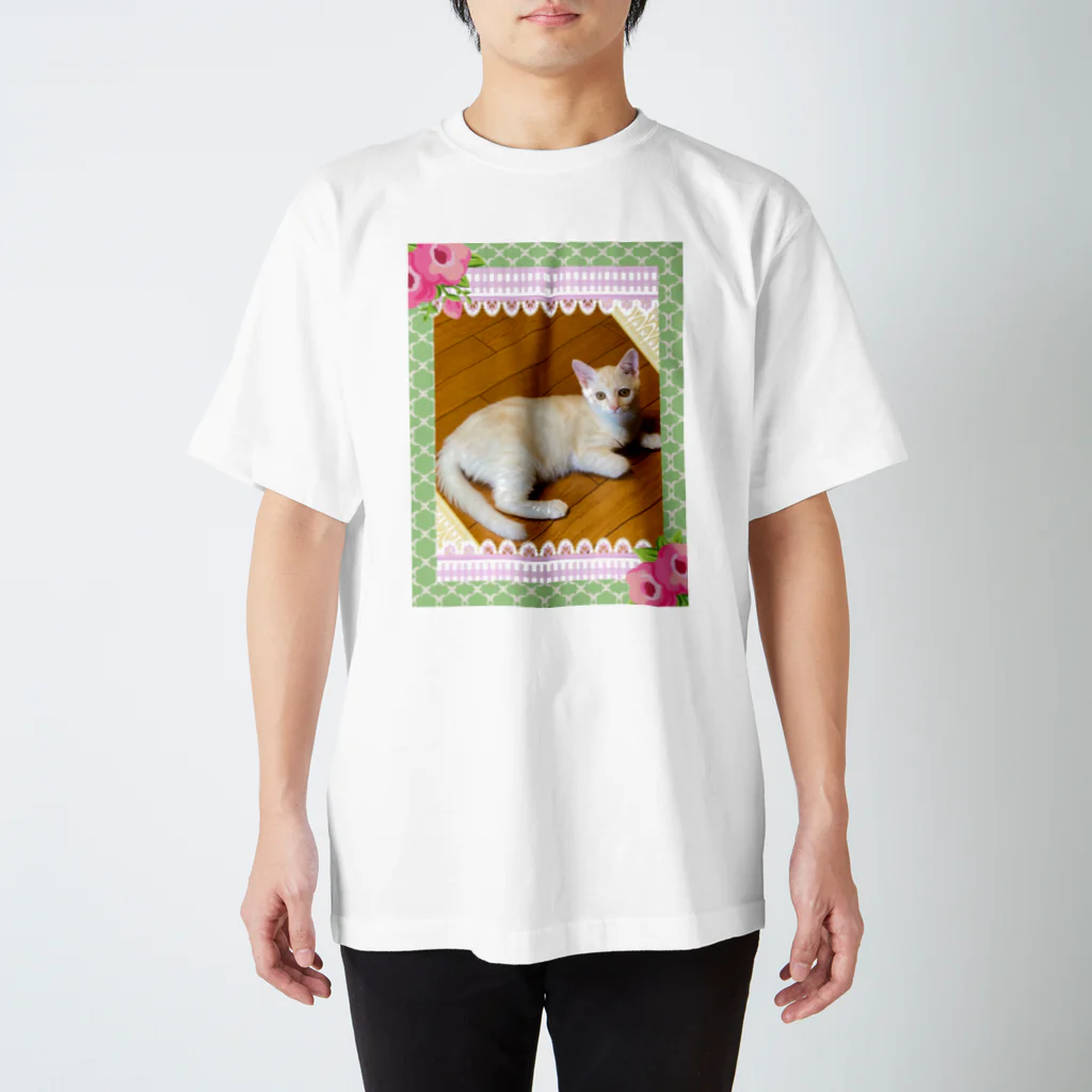 ☆あゆ ころ たろの☆ ハッピーライフのねこ　ルル スタンダードTシャツ