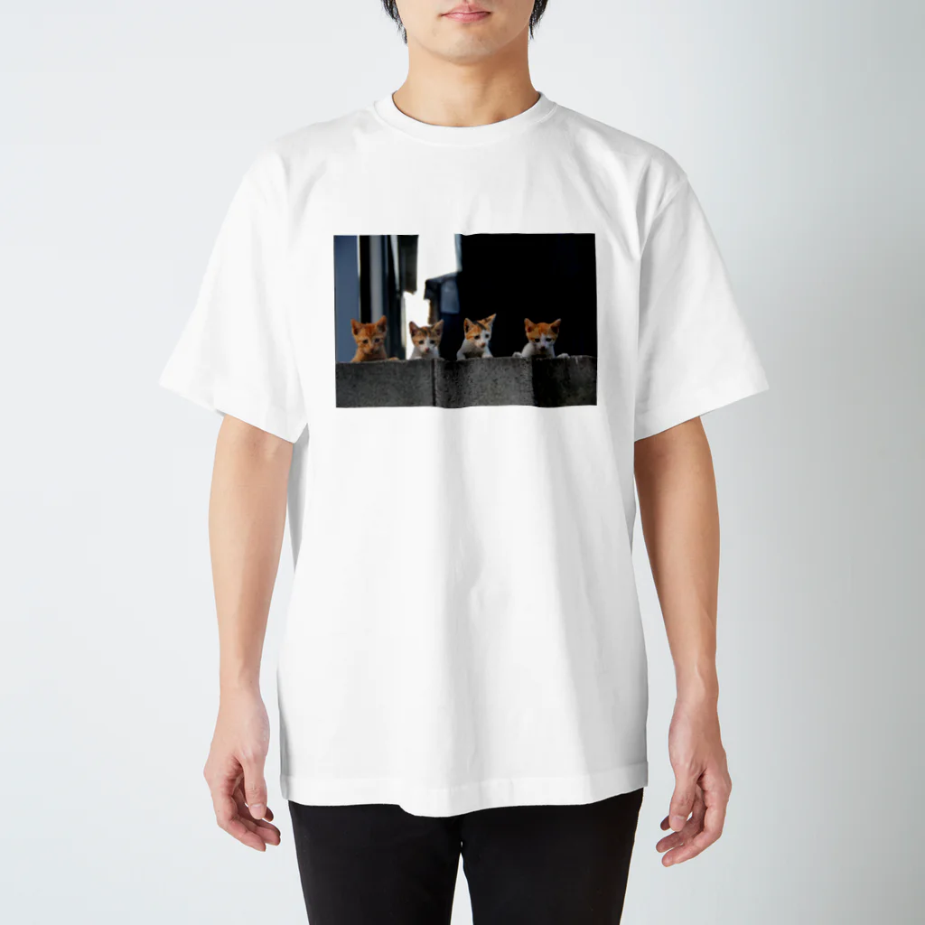 シッポ追いの猫写真店のkitten gang Regular Fit T-Shirt
