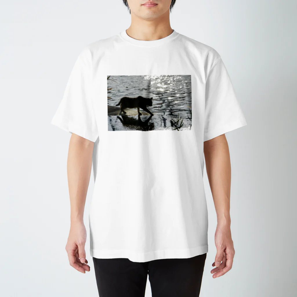 シッポ追いの猫写真店の水辺の帰り道 Regular Fit T-Shirt