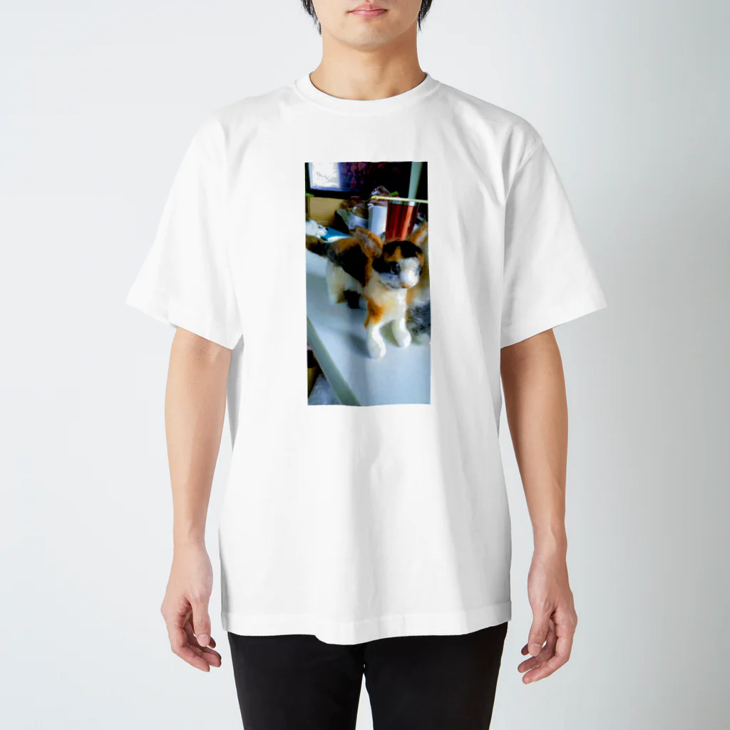 銀の三毛猫。1 Regular Fit T-Shirt