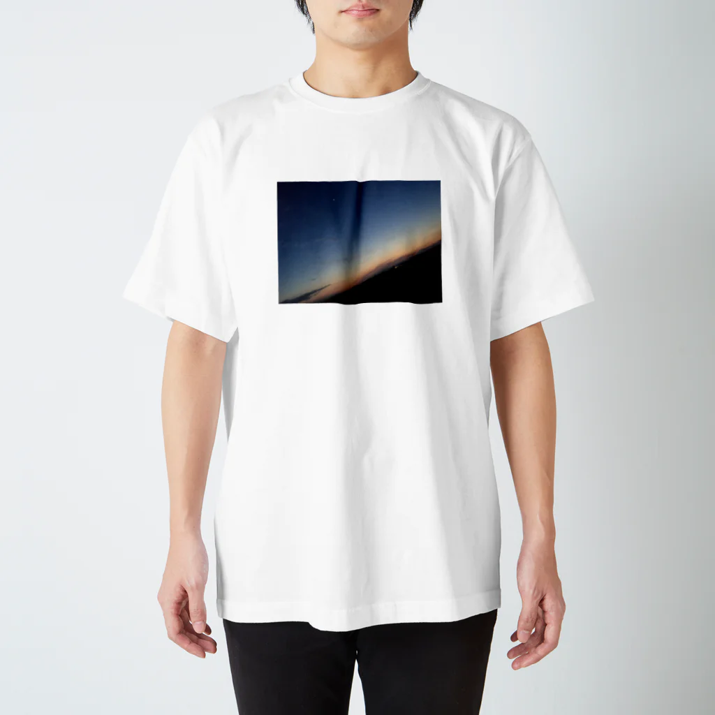 鮭の田舎の景色 スタンダードTシャツ