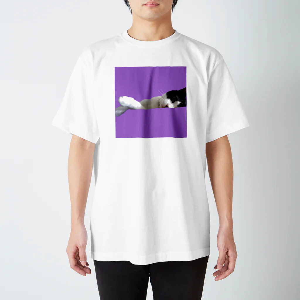 猫好きの横たわりはちわれ猫 Regular Fit T-Shirt