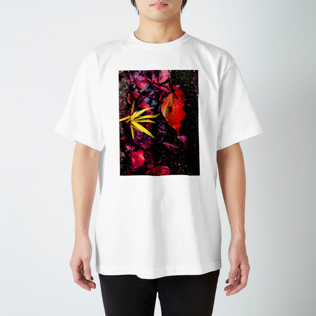 imarieのwalking incidents08 Regular Fit T-Shirt