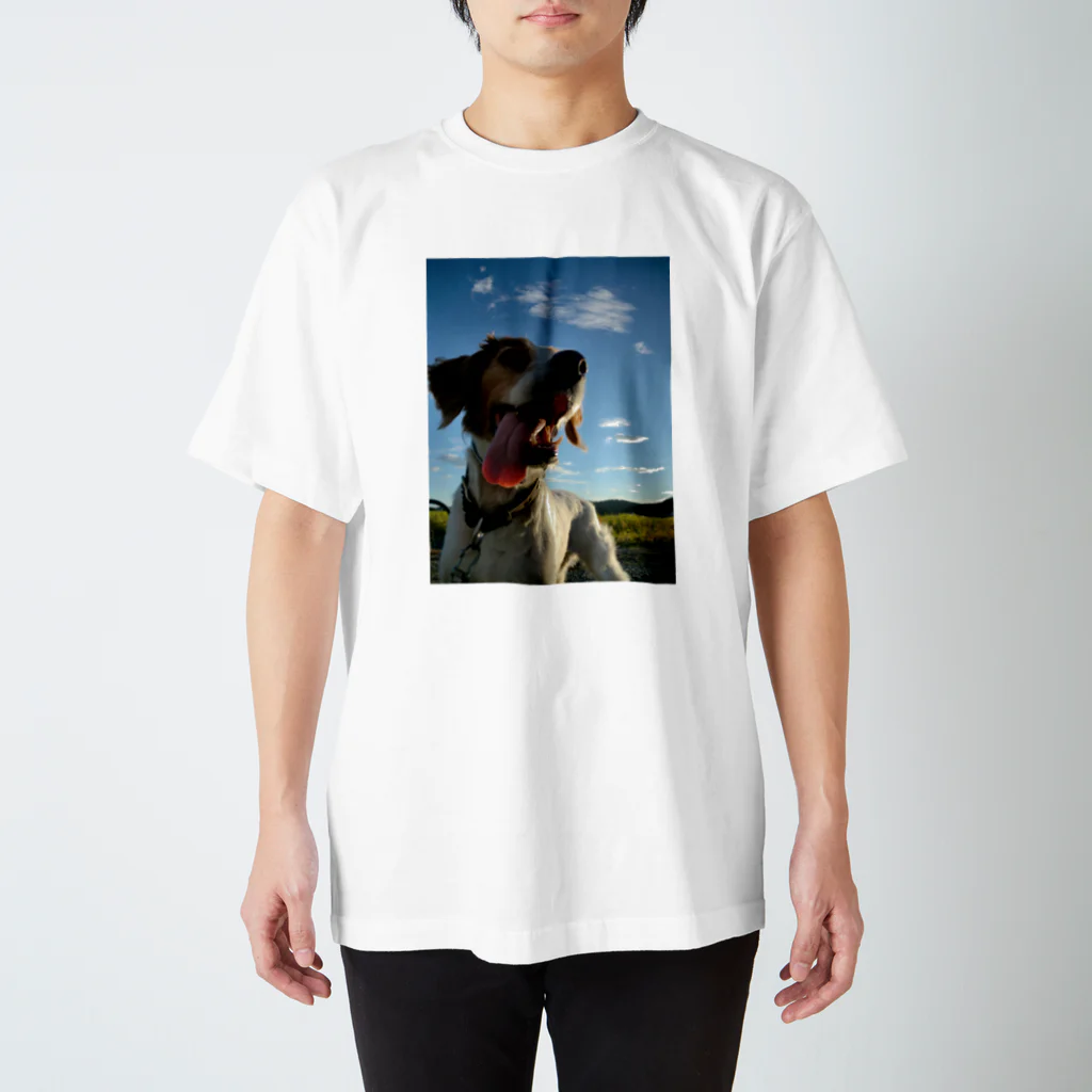 kyuの稲と犬 Regular Fit T-Shirt