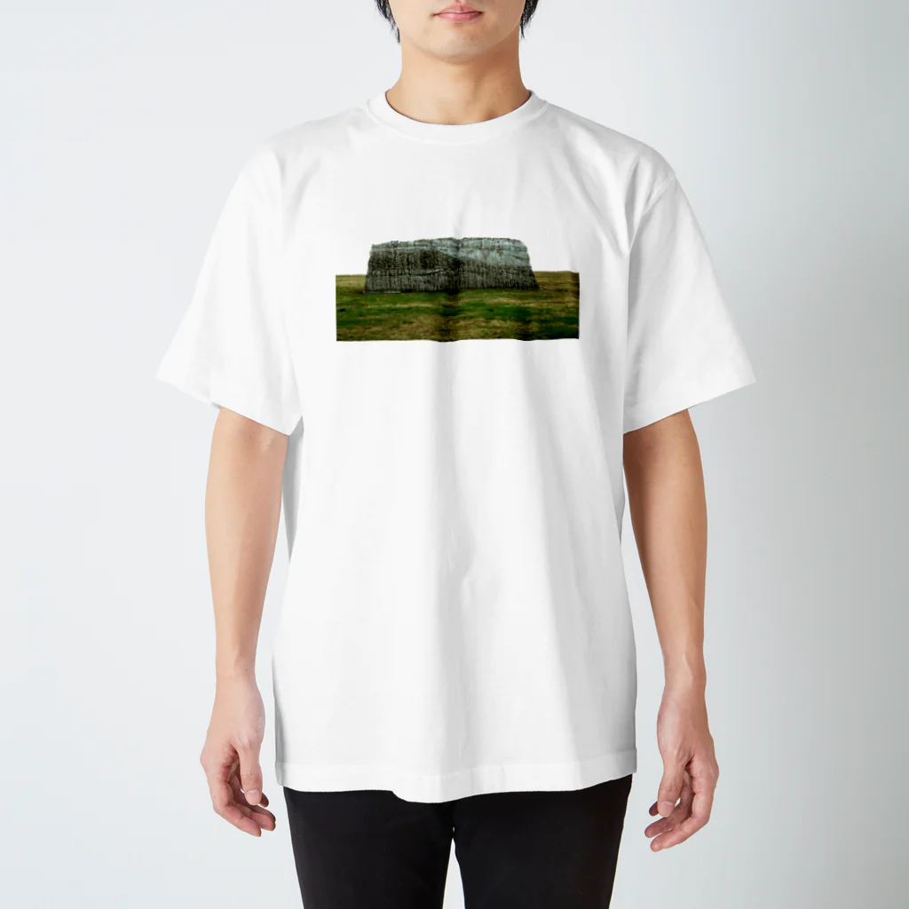 yamaguchi315の青森の氷 Regular Fit T-Shirt