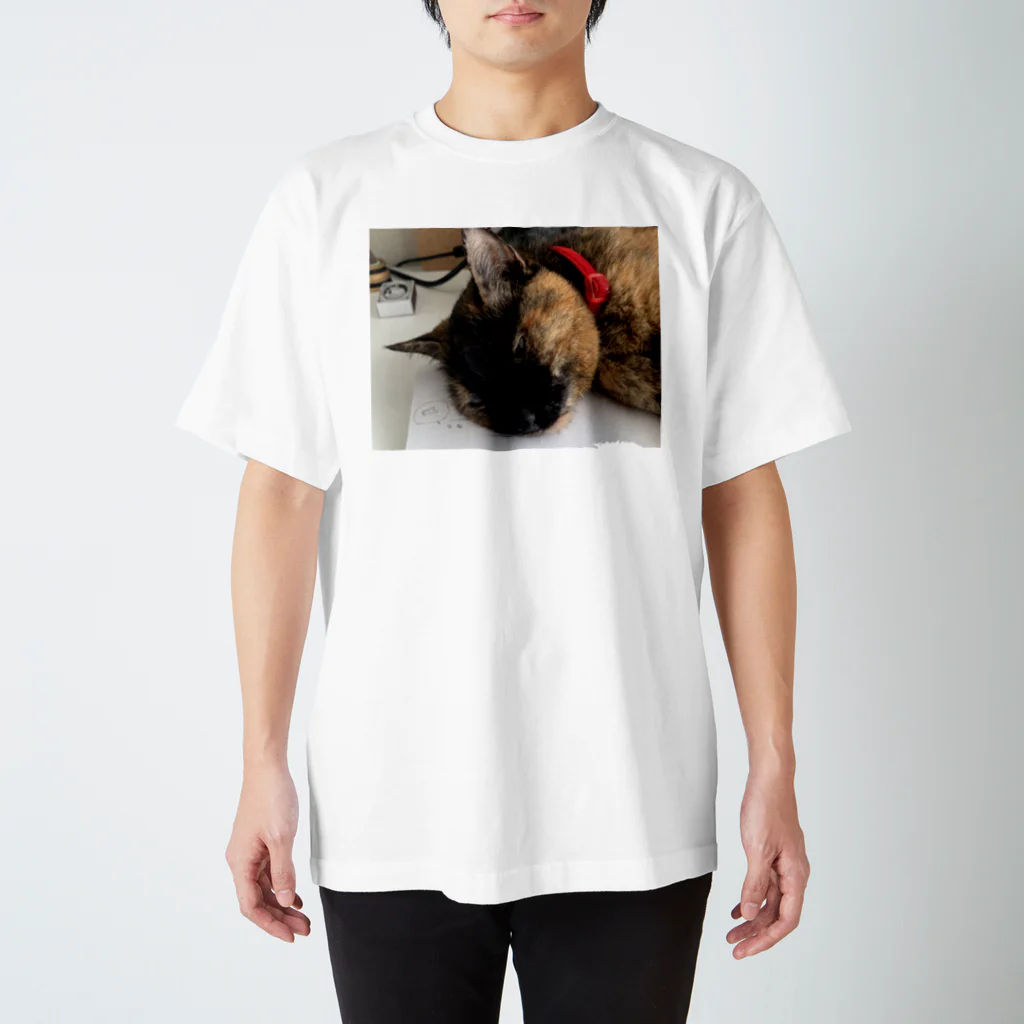 二毛猫の魚食べたいね。 Regular Fit T-Shirt