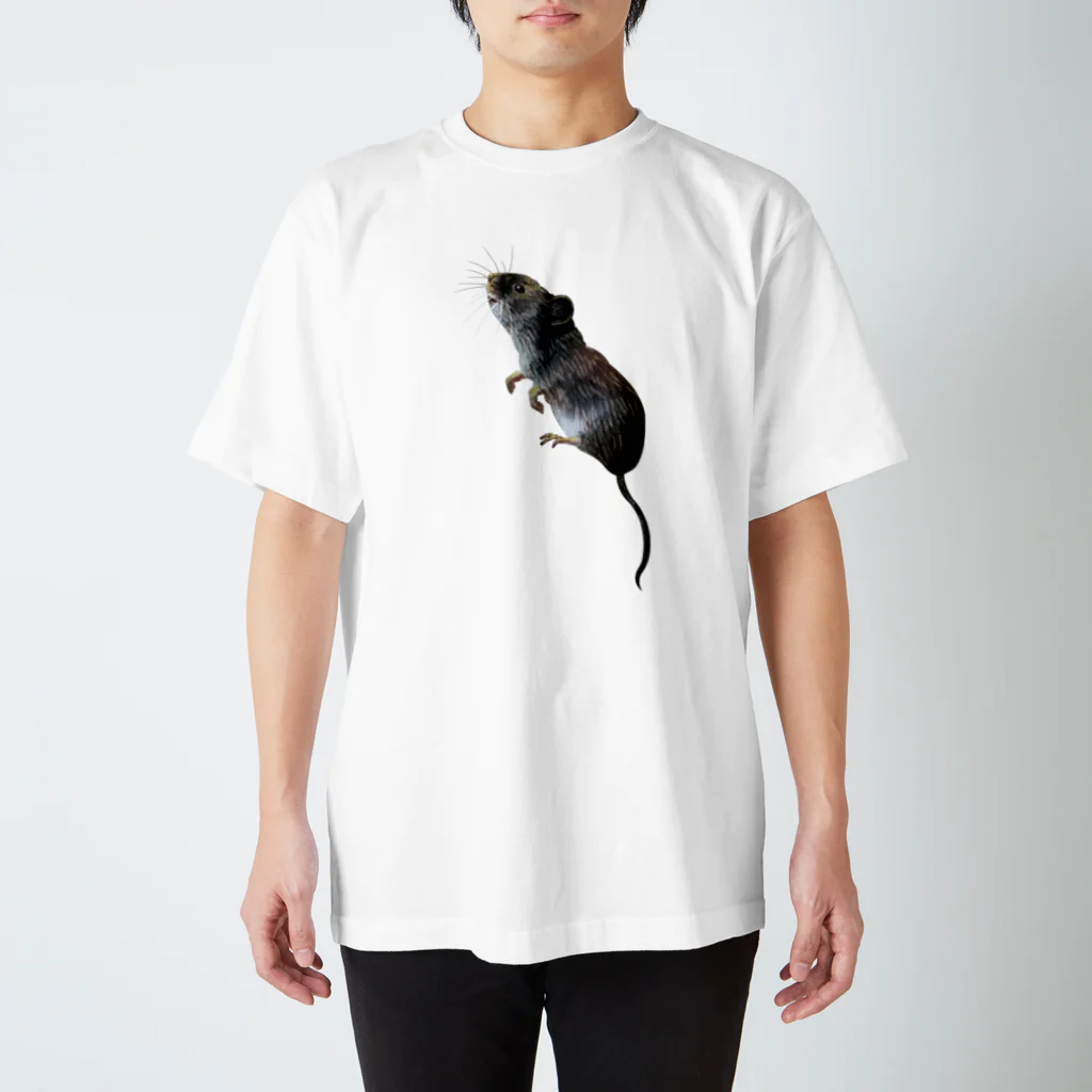 A TのネズミくんのTシャツ🐀 スタンダードTシャツ