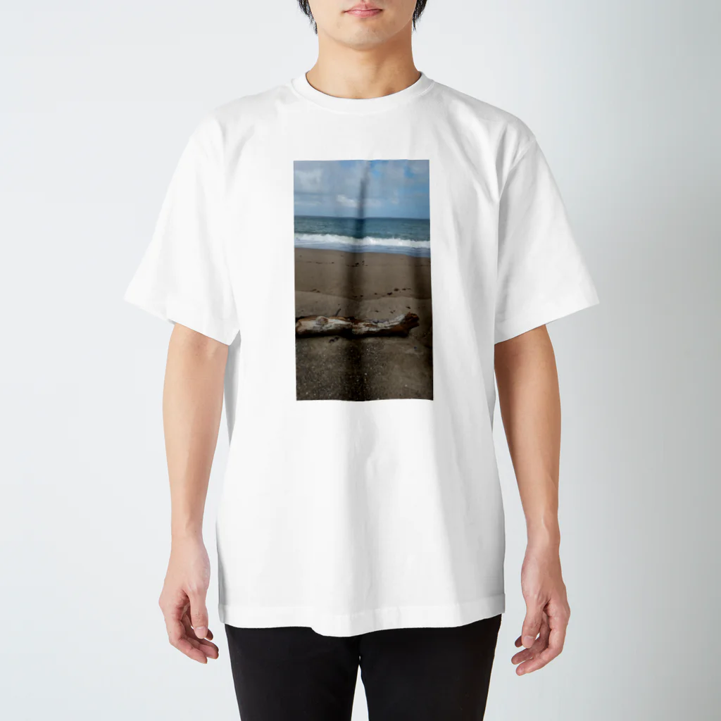 ちび猫の秋の海 Regular Fit T-Shirt