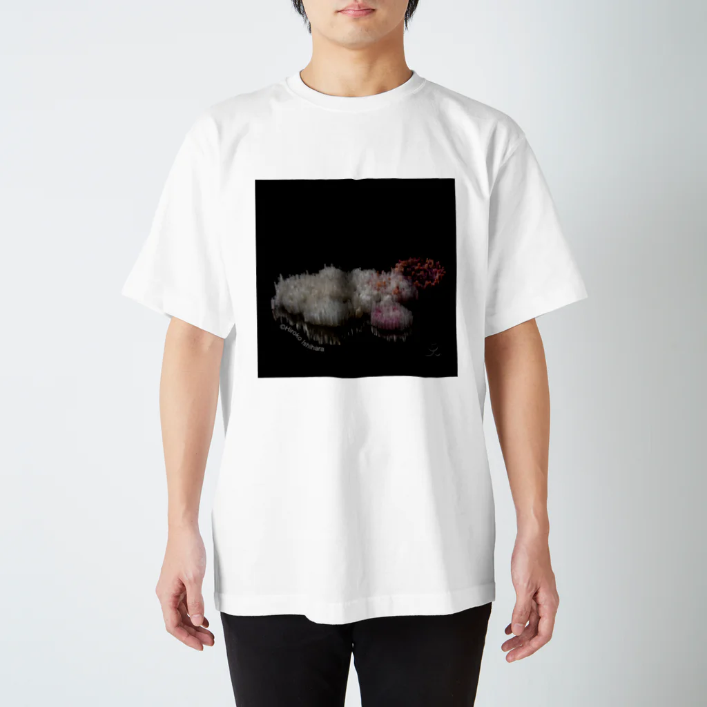 天才アートKYOTOの天才アートKYOTO 石原寛子_2-3 Regular Fit T-Shirt