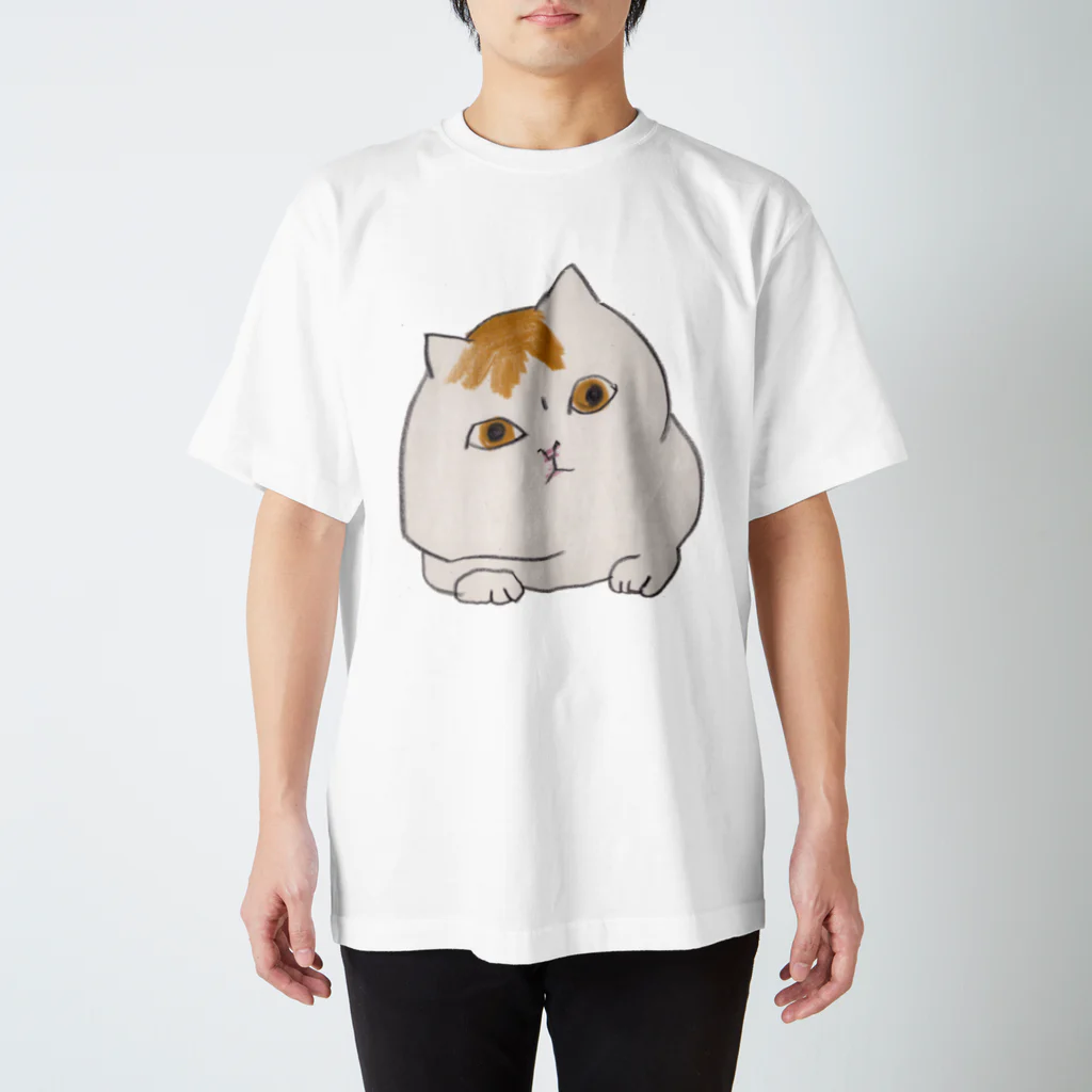 アコルのうかがいねこ スタンダードTシャツ