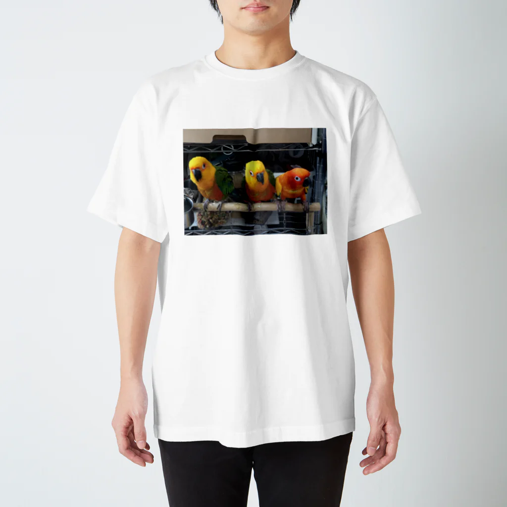 YUKI【ユメとホープ探し中】のメキシコインコ Regular Fit T-Shirt