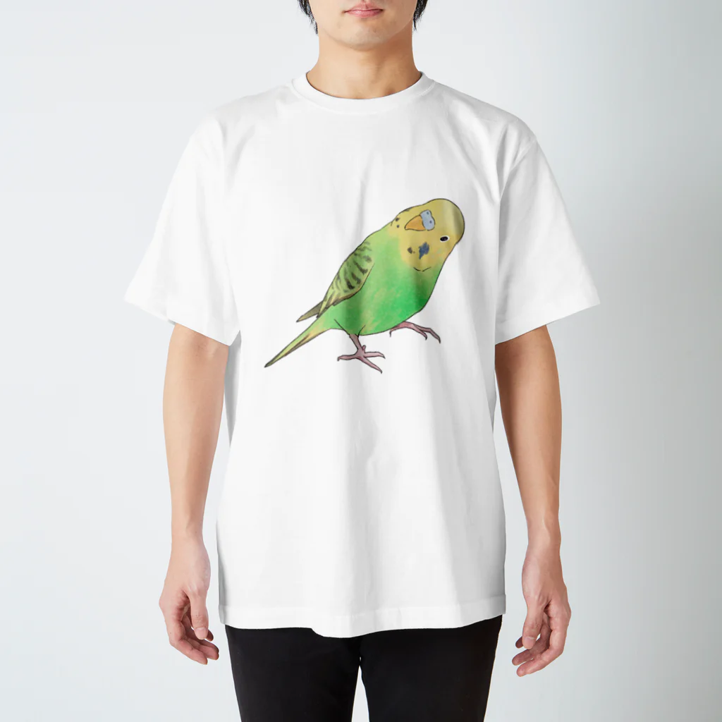 まめるりはことりの首傾げセキセイインコ　ピーちゃん【まめるりはことり】 Regular Fit T-Shirt