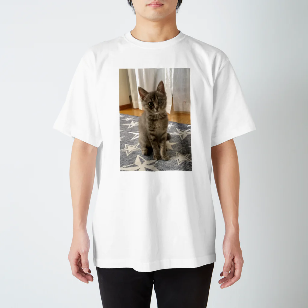 AWA・AWAの子猫の眼差し Regular Fit T-Shirt