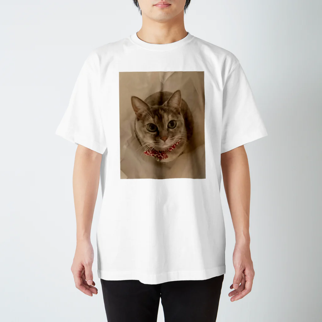 AWA・AWAのおちびの眼差し スタンダードTシャツ