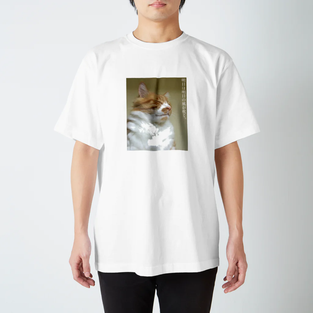 猫沢太陽の明日は明日の風が吹く。 スタンダードTシャツ