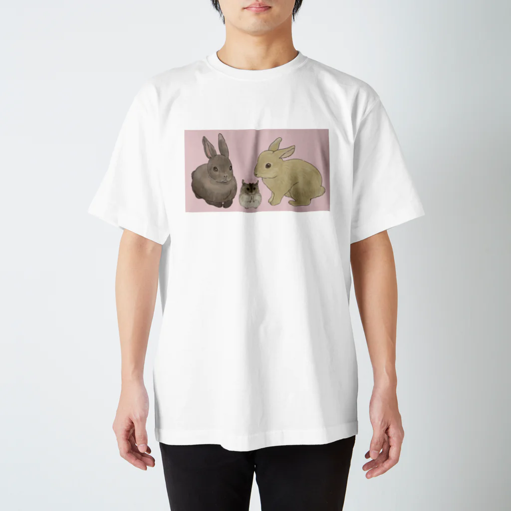 ゆるかめ[うさハム関係グッズ販売]の[三毛玉]むーふーみー背景ピンク Regular Fit T-Shirt