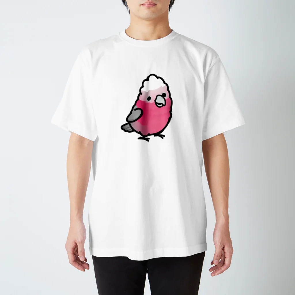 Cody the LovebirdのChubby Bird モモイロインコ スタンダードTシャツ