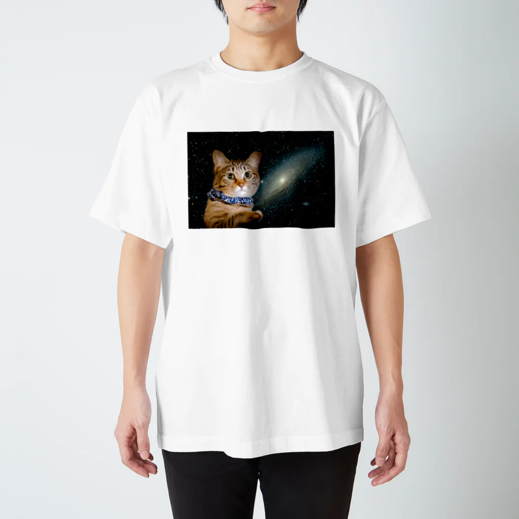 さばの宇宙猫 スタンダードTシャツ