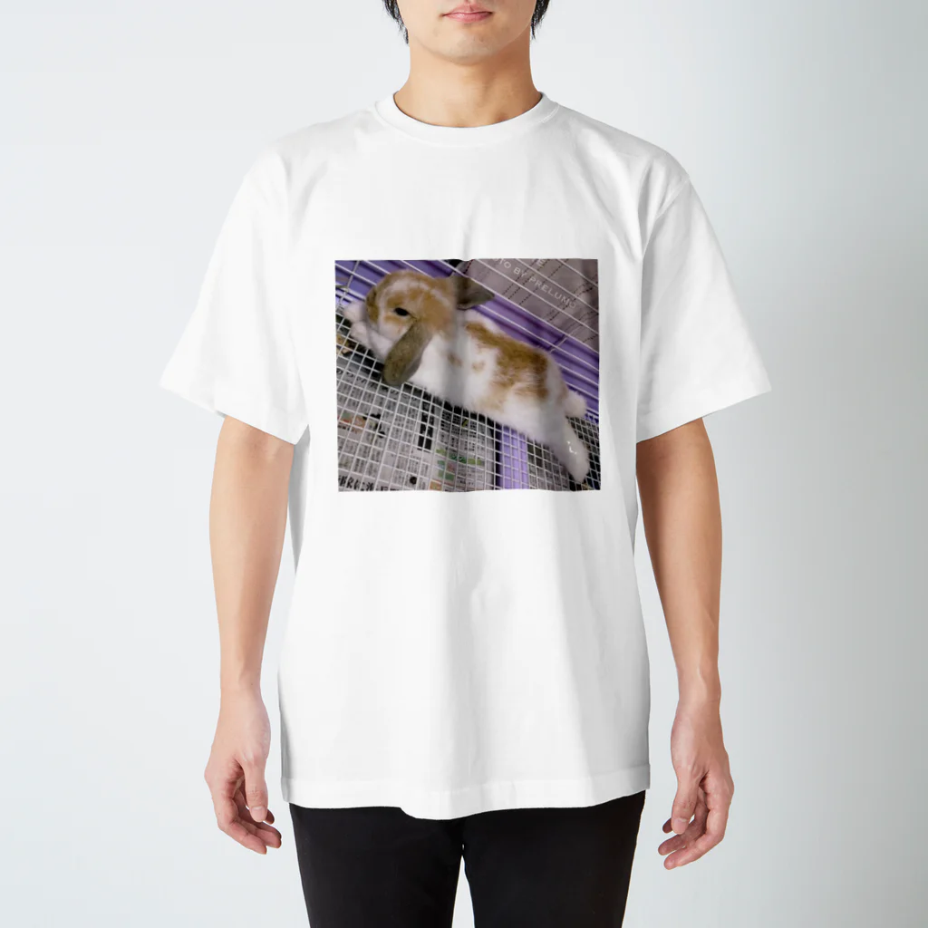 asianaのうさぎさんTシャツ<リラックス> Regular Fit T-Shirt